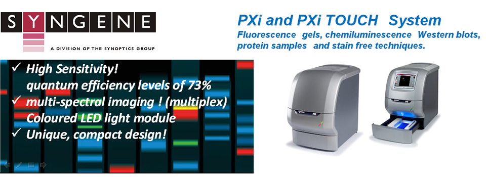 Pxi 化学発光イメージャー